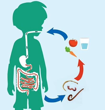 Parasitic infection