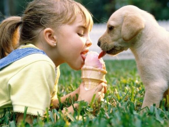 Infection through pets
